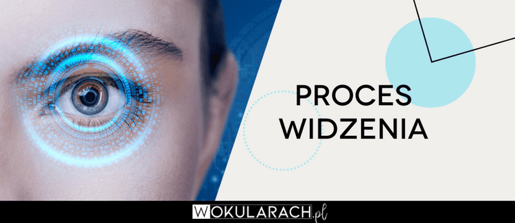 Proces widzenia