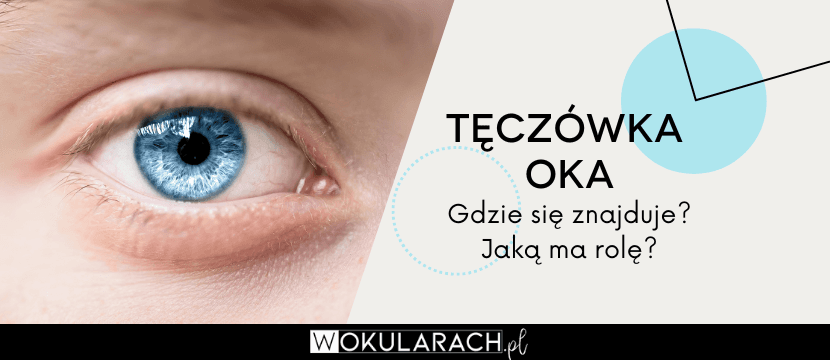 Tęczówka oka - gdzie się znajduje, jaką ma rolę?