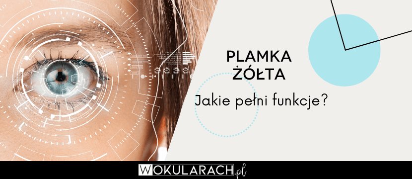 Plamka żółta – czym jest? Jakie funkcje pełni?