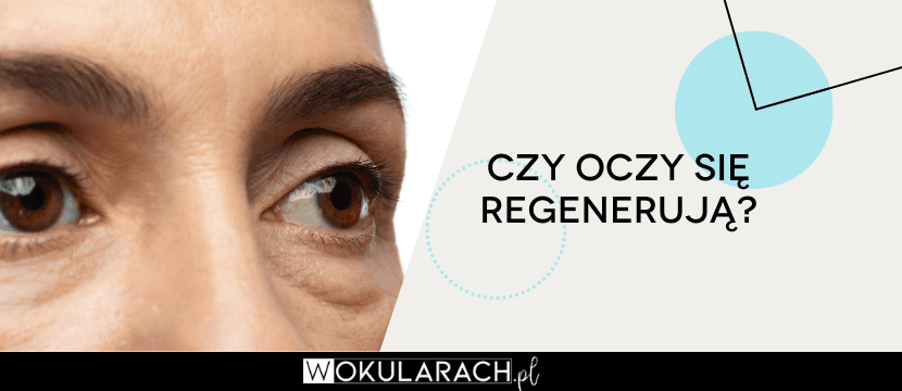 Czy oczy się regenerują?