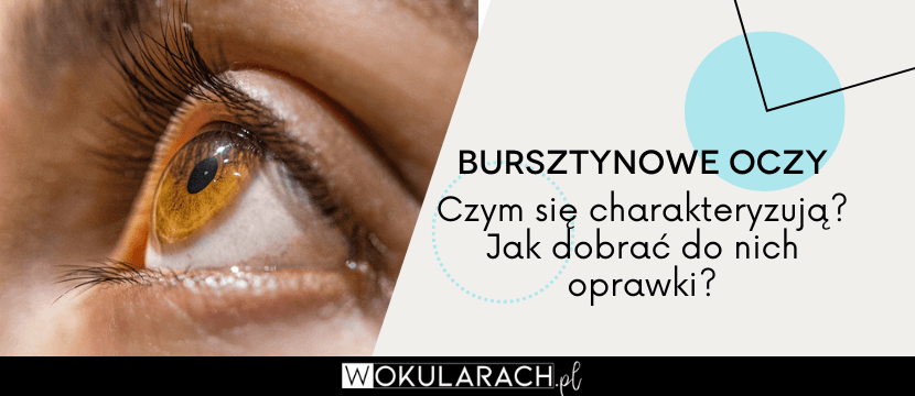Bursztynowe oczy – czym się charakteryzują? Jak dobrać do nich oprawki?
